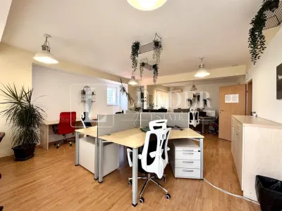 Spatiu pentru birouri in imobil tip Vila cu lift | Titulescu - Al. Ioan Cuza - foto 8