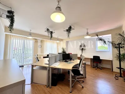 Spatiu pentru birouri in imobil tip Vila cu lift | Titulescu - Al. Ioan Cuza - foto 9