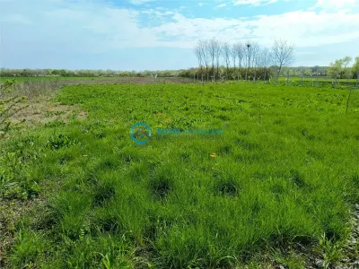 Royal Imobiliare - Vanzare Teren Intravilan Comuna Rafov - foto 4