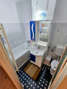 Apartament 1 camera,  etaj 2, Dorobantilor-Piata Mare - foto 11