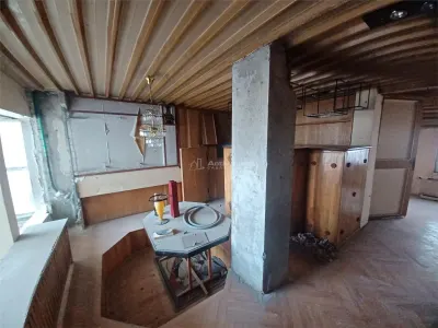 Vila Cismigiu- Stirbei Voda - foto 14