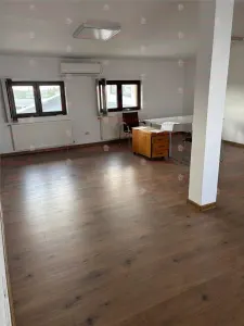 Spatiu spre inchiriere doar pentru FIRME Sos. Chitilei 413 - foto 2