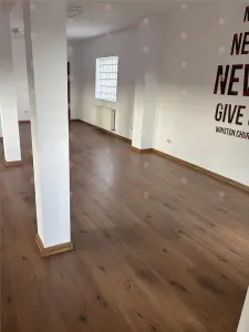 Spatiu spre inchiriere doar pentru FIRME Sos. Chitilei 413 - foto 16