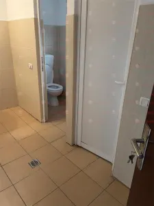 Spatiu spre inchiriere doar pentru FIRME Sos. Chitilei 413 - foto 8