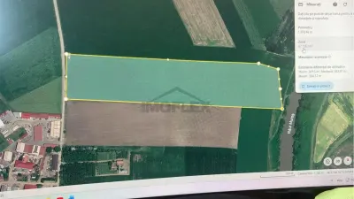 Teren agricol extravilan 68.000 mp de vânzare – Luduș, jud. Mureș, lângă râul Mureș - foto 3