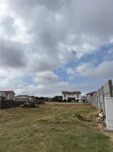 Teren - Mosnita Noua - In Proximitatea Lidl- ului cel nou - foto 3