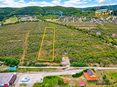 Teren extravilan, 6.510mp, Simeria, Sfantu Gheorghe - Sfantu Gheorghe