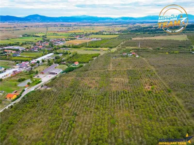Teren extravilan, 6.510mp, Simeria, Sfantu Gheorghe - foto 3
