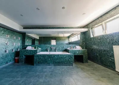 Proprietate 450 mp | Teren 1.000 mp | 7 camere | Piscina | Ideală pentru clinica medicală / investiție - foto 10