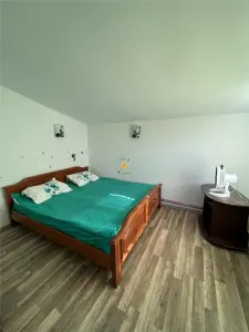 Casa in Brazii de sus - foto 2