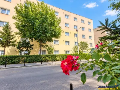 Decomandat si generos, 3 camere, 2 bai, potential de amenajare, Tractorul, Brasov - foto 15