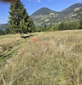 Teren intravilan 40 ari, Colibita - Colibita