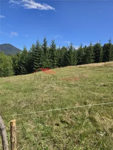 Teren intravilan 40 ari, Colibita - foto 2