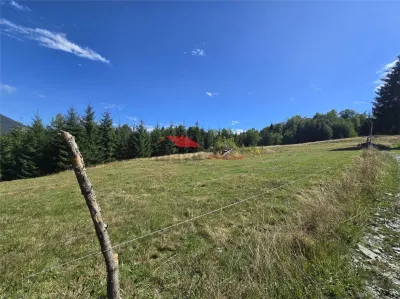 Teren intravilan 40 ari, Colibita - foto 3