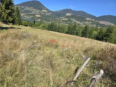 Teren intravilan 40 ari, Colibita - foto 4