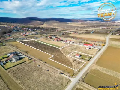 Proprietate remarcabila: 32.000mp teren, acces direct DJ112,Ilieni,Covasna - foto 2