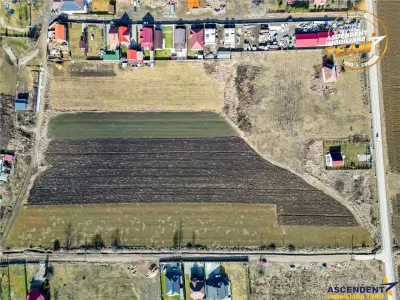 Proprietate remarcabila: 32.000mp teren, acces direct DJ112,Ilieni,Covasna - foto 15