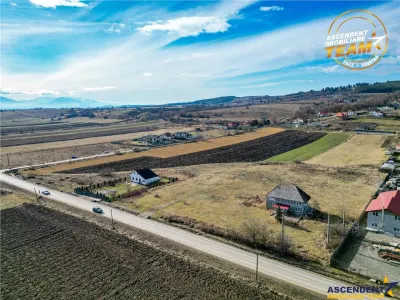 Proprietate remarcabila: 32.000mp teren, acces direct DJ112,Ilieni,Covasna - foto 8