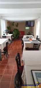 In aria Centrala a Brasovului, Hotel distinct - foto 11