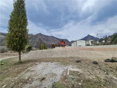 Vanzare Teren 1,7HA centru Petrosani - foto 6