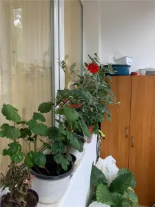 Apartament 2 camere + bucătărie, renovat recent, cu parcare – Dealul Florilor, Dej - foto 21