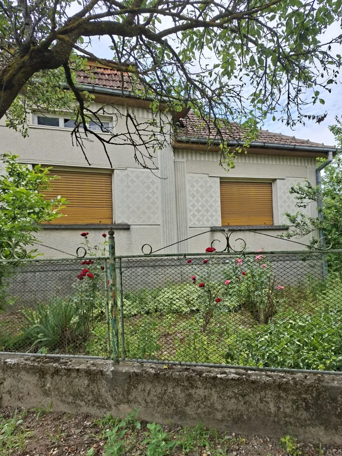 De vânzare casă familială în Dobra (jud. Satu Mare) - Beltiug