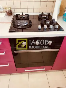 Apartamet cu doua camere Bulevardul Unirii - pod Serbanesti - foto 13