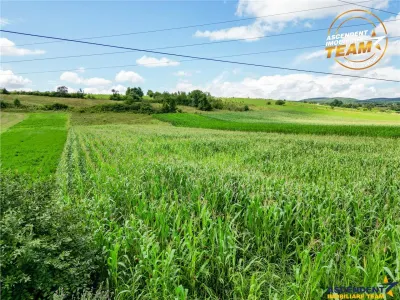 Oportunitate de investitie, PUZ aprobat: zona servicii, Sancraiu, Covasna - foto 2