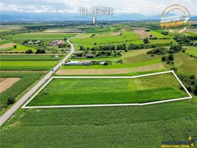 Oportunitate de investitie, PUZ aprobat: zona servicii, Sancraiu, Covasna - foto 3