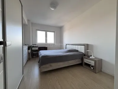 Apartament 2 camere decomandat str Onestilor - foto 5