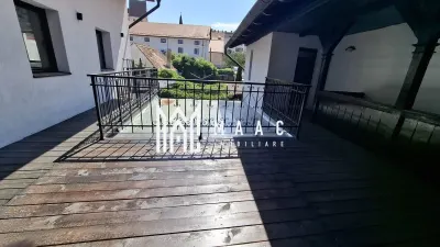 Pensiune 12 camere de închiriat | Central, Sibiu | terasă - foto 36