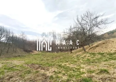 Teren extravilan agricol 1.184 mp | Sibiel | utilități la 100 m - foto 4