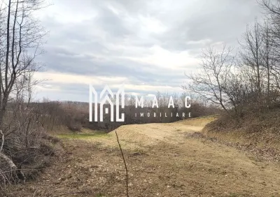 Teren extravilan agricol 1.184 mp | Sibiel | utilități la 100 m - foto 7