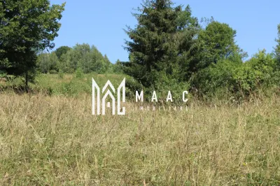 Terenuri Carpinis I parcelabil I Curent pe proprietati - foto 66