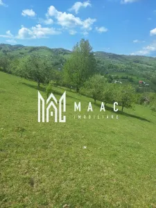 Poiana Sohodol I 5600 MP I Trei corpuri cladiri I Utilitati - foto 13
