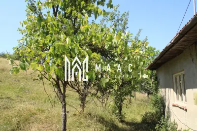 Poiana Sohodol I 5600 MP I Trei corpuri cladiri I Utilitati - foto 53