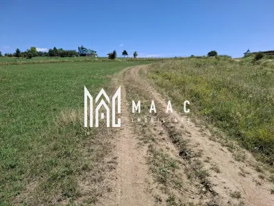 Teren extravilan agricol 3.800 mp | Bungard | 3 căi de acces - foto 6