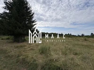 Teren intravilan de vanzare I 1990 mp I Valea Avrigului – lângă Cabana Aris - foto 6
