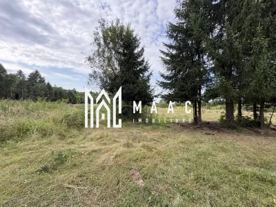 Teren intravilan de vanzare I 1990 mp I Valea Avrigului – lângă Cabana Aris - foto 10