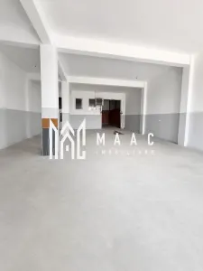 Hală Industrială | 300 MP | Terezian | Acces TIR - foto 3