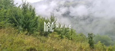 5000 teren in Muntii Apuseni I Pregatit pentru constructie - foto 2