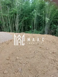 5000 teren in Muntii Apuseni I Pregatit pentru constructie - foto 12