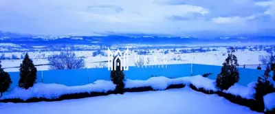 Casă 5 camere de vânzare | Sibiu, Turnișor | 550 mp, piscină - foto 12