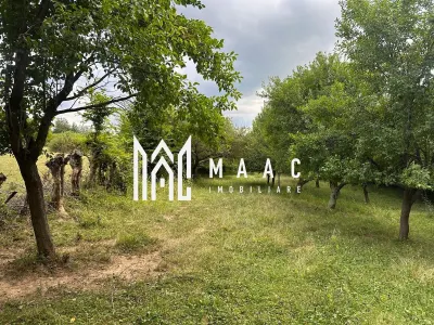 Teren extravilan 2000 mp | Rășinari | livadă, lângă Cisnădioara - Rasinari