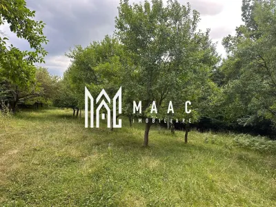 Teren extravilan 2000 mp | Rășinari | livadă, lângă Cisnădioara - foto 3