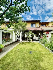 Casa moderna Vladesti | Zona Exclusivista | Curte interioara | - foto 8