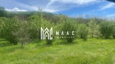 Teren extravilan 61.000 mp | Veseud, Sibiu | plantație aluni, trufe - Veseud (Slimnic)