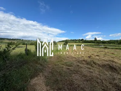 Teren intravilan 1750 mp | Hamba, Sibiu | utilități pe teren - foto 9