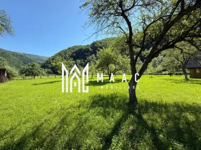 Teren Intravilan | 3050 Mp | Ieșire la Râu | Râul Sadului - Rau Sadului