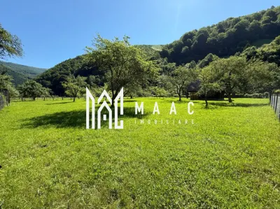 Teren Intravilan | 3050 Mp | Ieșire la Râu | Râul Sadului - foto 4